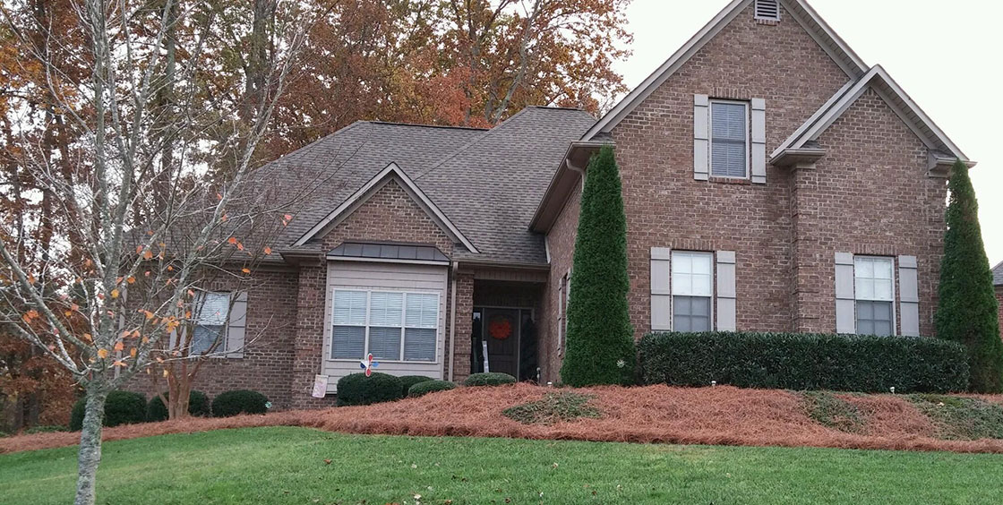 Bush and Shrub Trimming